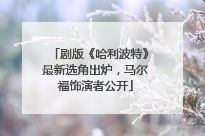 剧版《哈利波特》最新选角出炉，马尔福饰演者公开