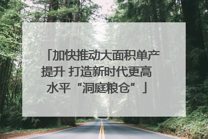加快推动大面积单产提升 打造新时代更高水平“洞庭粮仓”