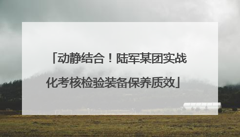动静结合！陆军某团实战化考核检验装备保养质效