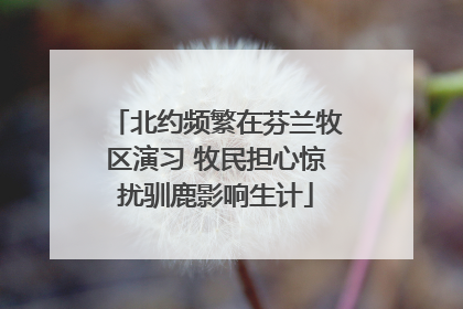 北约频繁在芬兰牧区演习 牧民担心惊扰驯鹿影响生计