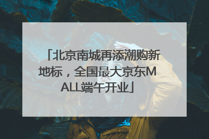 北京南城再添潮购新地标，全国最大京东MALL端午开业