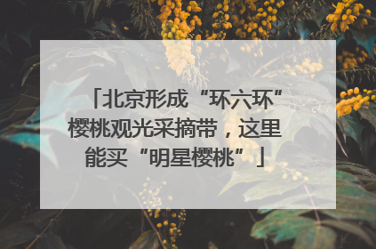 北京形成“环六环”樱桃观光采摘带，这里能买“明星樱桃”