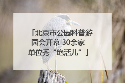 北京市公园科普游园会开幕 30余家单位秀“绝活儿”
