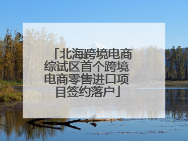 北海跨境电商综试区首个跨境电商零售进口项目签约落户