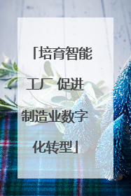 培育智能工厂 促进制造业数字化转型