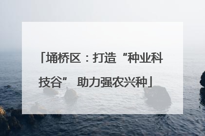 埇桥区：打造“种业科技谷” 助力强农兴种