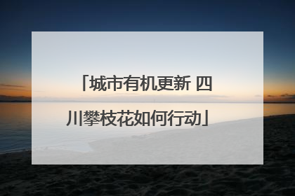 城市有机更新 四川攀枝花如何行动