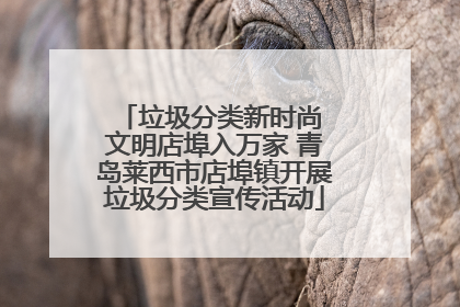 垃圾分类新时尚 文明店埠入万家 青岛莱西市店埠镇开展垃圾分类宣传活动