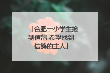 合肥一小学生捡到信鸽 希望找到信鸽的主人