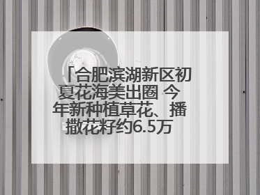 合肥滨湖新区初夏花海美出圈 今年新种植草花、播撒花籽约6.5万平方米