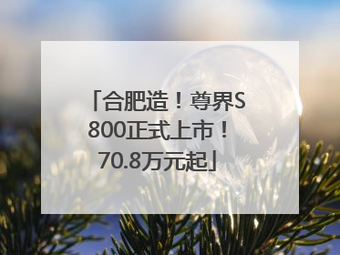 合肥造！尊界S800正式上市！70.8万元起