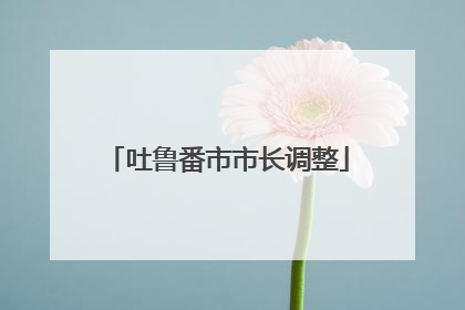 吐鲁番市市长调整