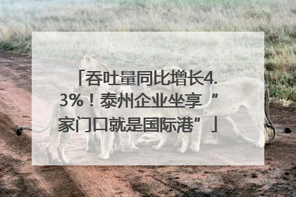 吞吐量同比增长4.3%！泰州企业坐享“家门口就是国际港”