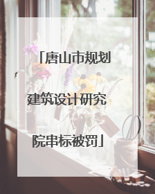 唐山市规划建筑设计研究院串标被罚