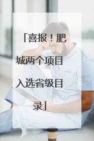 喜报！肥城两个项目入选省级目录