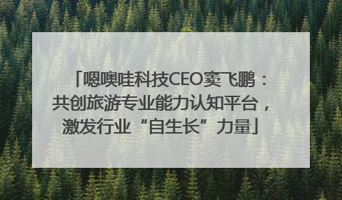 嗯噢哇科技CEO窦飞鹏：共创旅游专业能力认知平台，激发行业“自生长”力量