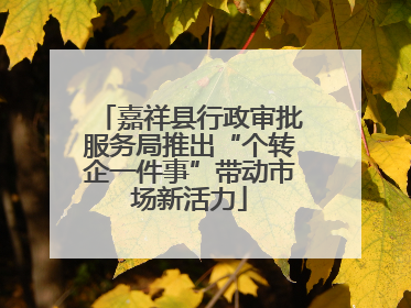嘉祥县行政审批服务局推出“个转企一件事”带动市场新活力