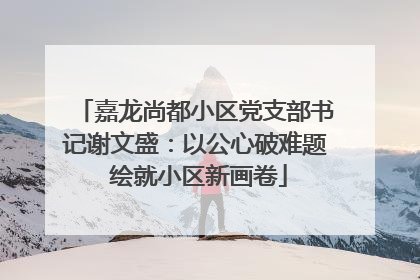 嘉龙尚都小区党支部书记谢文盛：以公心破难题 绘就小区新画卷