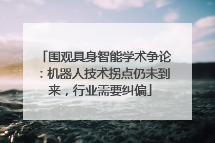 围观具身智能学术争论：机器人技术拐点仍未到来，行业需要纠偏