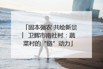 固本强农 共绘新景 ︳卫辉市南社村：蔬菜村的“链”动力