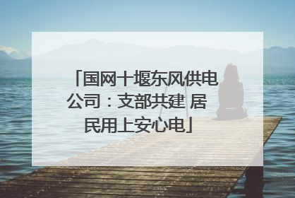国网十堰东风供电公司：支部共建 居民用上安心电