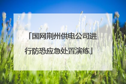 国网荆州供电公司进行防恐应急处置演练