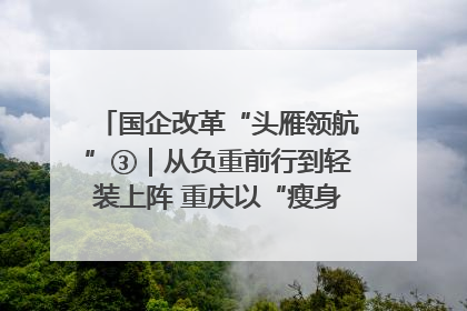 国企改革“头雁领航”③｜从负重前行到轻装上阵 重庆以“瘦身”谋“健体”