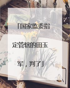 国家监委指定管辖的田玉军，判了