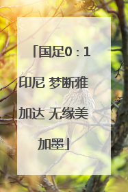 国足0∶1印尼 梦断雅加达 无缘美加墨