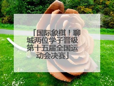 国际象棋！聊城两位学子晋级第十五届全国运动会决赛