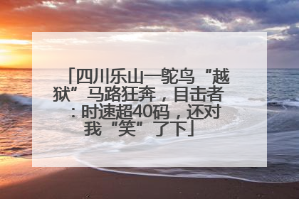 四川乐山一鸵鸟“越狱”马路狂奔，目击者：时速超40码，还对我“笑”了下