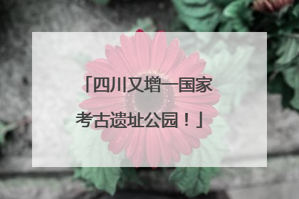 四川又增一国家考古遗址公园！