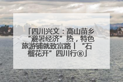 四川兴文：高山苗乡“避暑经济”热，特色旅游铺就致富路丨“石榴花开”四川行⑧
