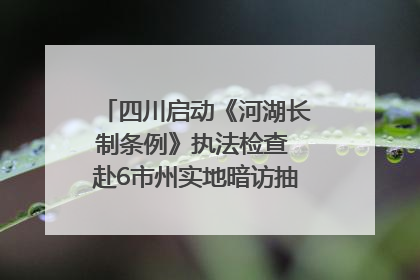 四川启动《河湖长制条例》执法检查 赴6市州实地暗访抽查｜四川人大之声