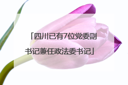 四川已有7位党委副书记兼任政法委书记