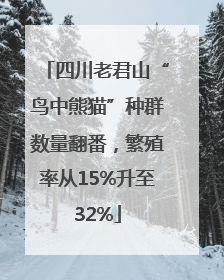 四川老君山“鸟中熊猫”种群数量翻番，繁殖率从15%升至32%