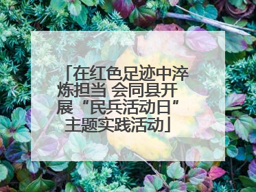 在红色足迹中淬炼担当 会同县开展“民兵活动日”主题实践活动
