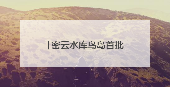 密云水库鸟岛首批幼鸟成功离巢试飞