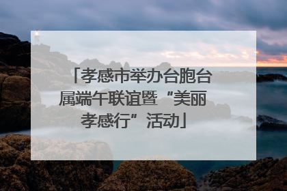 孝感市举办台胞台属端午联谊暨“美丽孝感行”活动