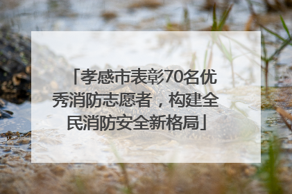 孝感市表彰70名优秀消防志愿者，构建全民消防安全新格局