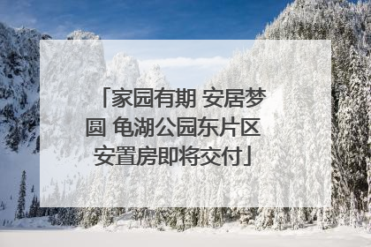 家园有期 安居梦圆 龟湖公园东片区安置房即将交付