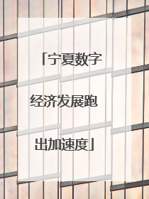 宁夏数字经济发展跑出加速度