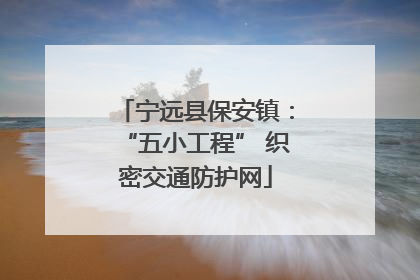 宁远县保安镇：“五小工程” 织密交通防护网