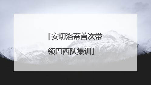 安切洛蒂首次带领巴西队集训