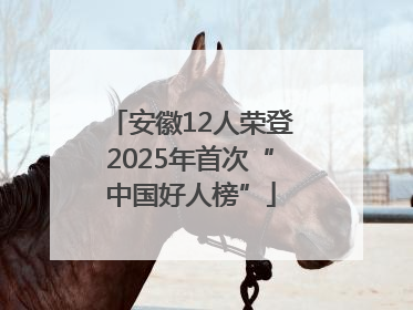 安徽12人荣登2025年首次“中国好人榜”