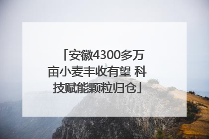安徽4300多万亩小麦丰收有望 科技赋能颗粒归仓