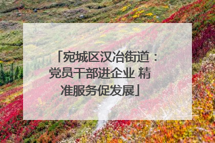 宛城区汉冶街道：党员干部进企业 精准服务促发展