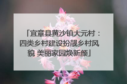 宜章县黄沙镇大元村：四类乡村建设扮靓乡村风貌 美丽家园焕新颜