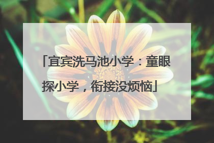 宜宾洗马池小学：童眼探小学，衔接没烦恼