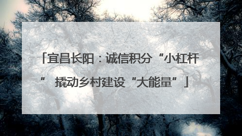 宜昌长阳：诚信积分“小杠杆” 撬动乡村建设“大能量”